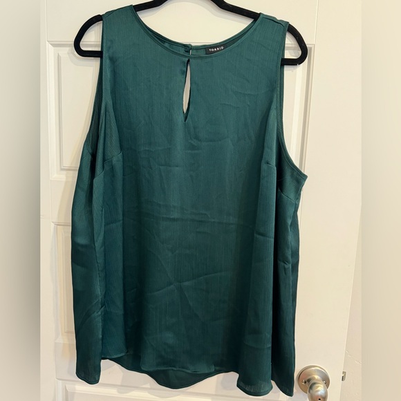 Beautiful Torrid Sleeveless Blouse - Picture 3 of 3